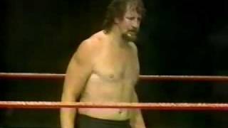 Terry Funks WWF Debut [upl. by Grubman]