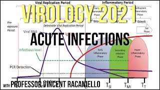 Virology Lectures 2021 16  Acute Infections [upl. by Aloiv]