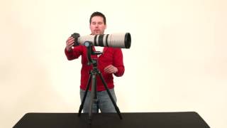 How to Setup amp Use a Gimbal Head For Wildlife Photography [upl. by Syhr]