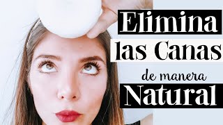 👀 CÓMO ELIMINAR LAS CANAS NATURALMENTE con remedios caseros👌 BereRo [upl. by Idnek]