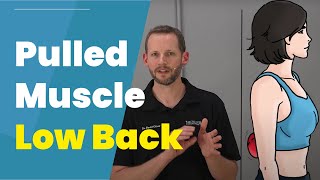 Pulled Muscle In Low Back 3 DIY Treatments [upl. by Blayze]