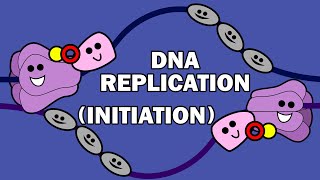 DNA REPLICATION 13  INITIATION [upl. by Raff]