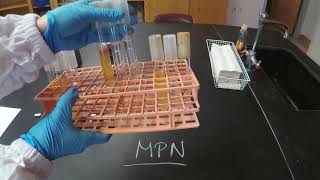 Most Probable Number MPN  Microbiology [upl. by Ahsikat]