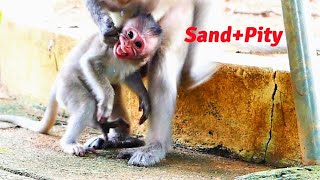 Oh My Tears Cant Stop The Craziest Animal Mother Monkey Lifts Tiny Baby Up And Throws On Ground [upl. by Ardnaik]