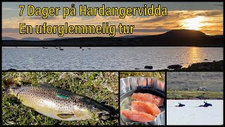 Hardangervidda  Fisketur  Sant [upl. by Ilrahs]