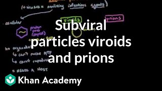 Subviral particles viroids and prions  Cells  MCAT  Khan Academy [upl. by Helgeson]