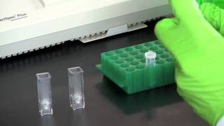 DNA Quantitation Using a Spectrophotometer [upl. by Alleira748]