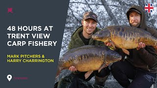 Carp Fishing at Trent View Fishery Mark Pitchers amp Harry Charrington [upl. by Leddy]