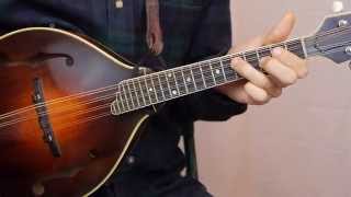 Irish Washerwoman With Tabs  Mandolin Lesson [upl. by Airolg686]