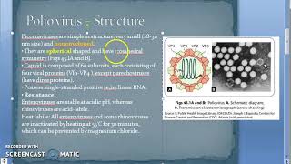 Microbiology 494 a Polio Virus PicoRNAVirus Structure [upl. by Merriam]