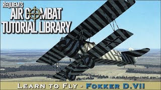 Learn to fly the Fokker DVII [upl. by Yentrok395]