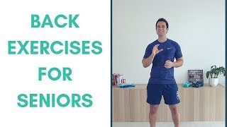 Essential Lower Back Exercises for Seniors [upl. by Bathesda]