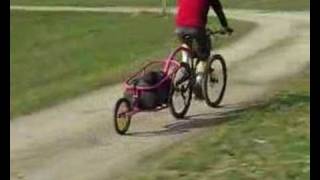 Aevon Bicycle Trailer Demo [upl. by Bobette]