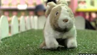 Hamleys  Rockin Rabbit [upl. by Elac]