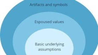 Edgar Schein Three Levels of Culture explained [upl. by Almeda]