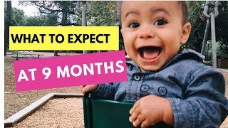 9 Month Developmental Milestones  Baby Developmental Milestones [upl. by Perrie]