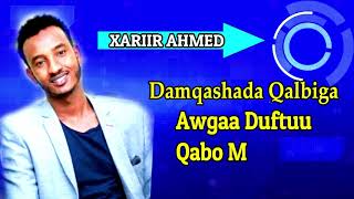 XARIIR AXMED HEESTII  DAREEN JECEYL OFFICAL LYRICS 2019 [upl. by Lhadnek]