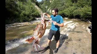 Il misterioso GRANCHIO DI FIUME [upl. by Airdnassac]