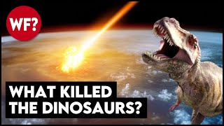 Why The Dinosaurs Died  The Chicxulub Asteroid Impact [upl. by Sherurd]