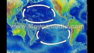 NOAA Ocean Currents [upl. by Zeus85]