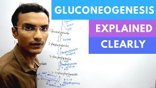 Gluconeogenesis Biochemistry [upl. by Quinta]