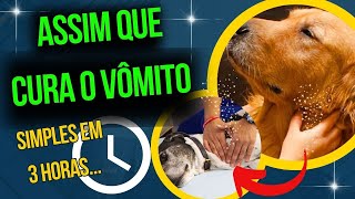 Causas do Vomito ou Regurgitação nos Cães Alimentação Inadequada ou Outras doenças [upl. by Aubrie]